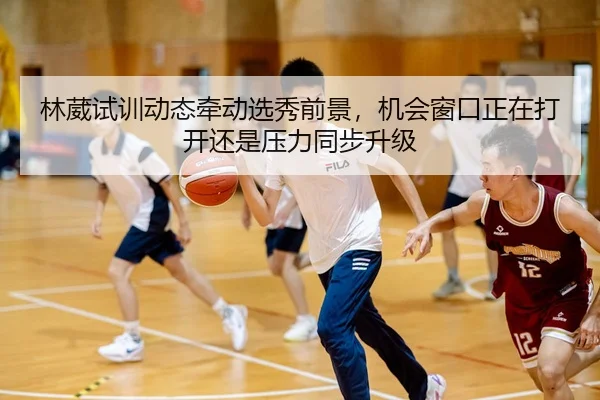 林葳试训动态牵动选秀前景，机会窗口正在打开还是压力同步升级